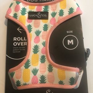 Reversible Lucy & Co dog harness